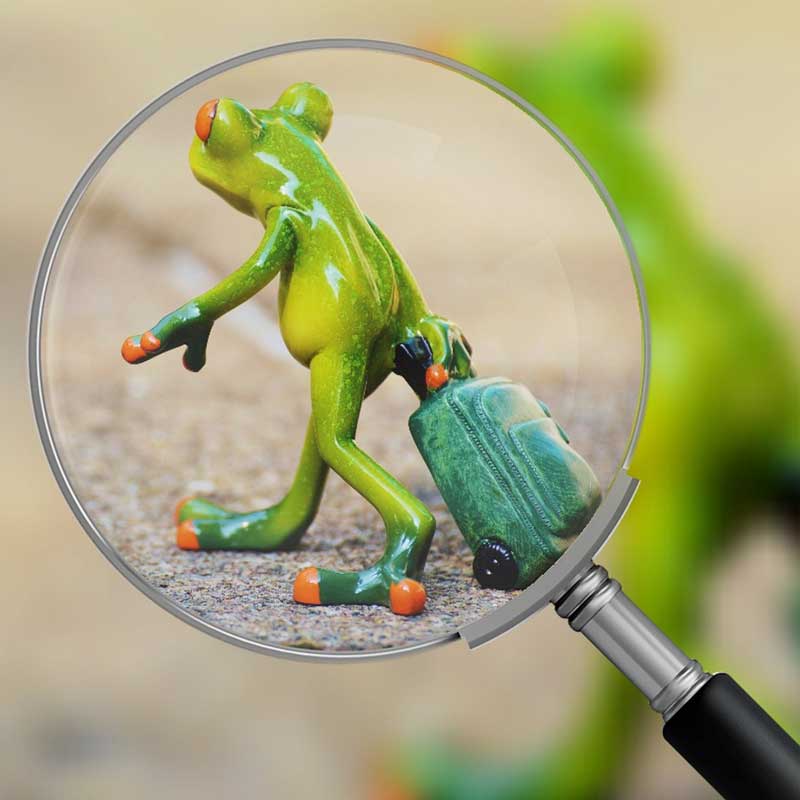This image for Image Layouts addon
